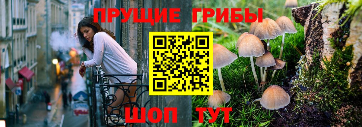 Псилоцибиновые грибы MAGIC MUSHROOMS Каспийск
