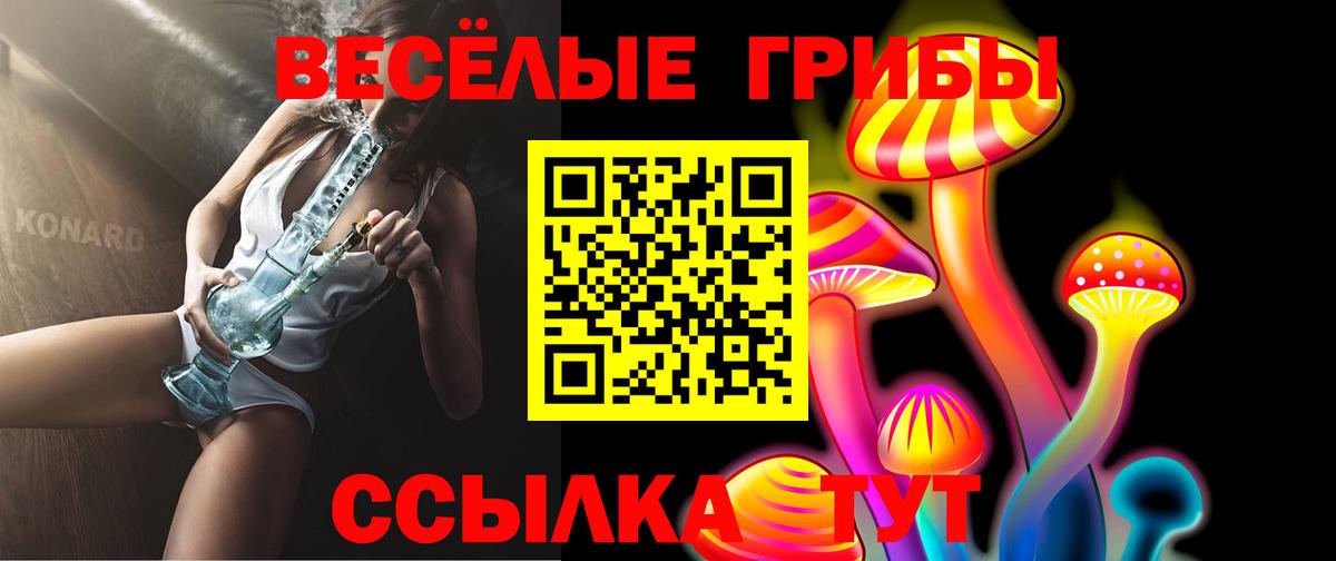 Псилоцибиновые грибы Psilocybine cubensis  Вход с VPN  Каспийск 